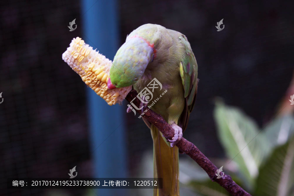 沒有更多的姿勢請…