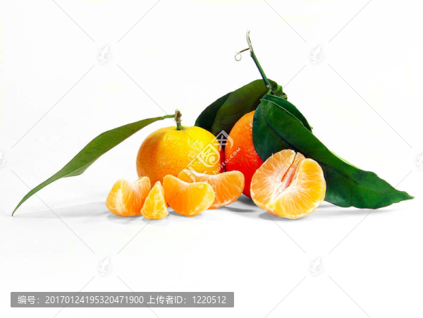 小3-匯圖網(wǎng) www.fosd68.com 小3