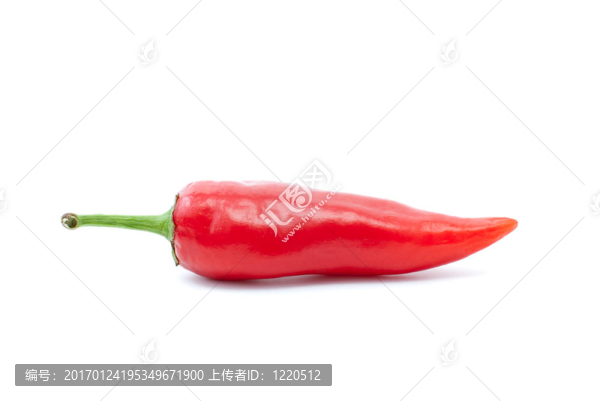 單紅辣椒