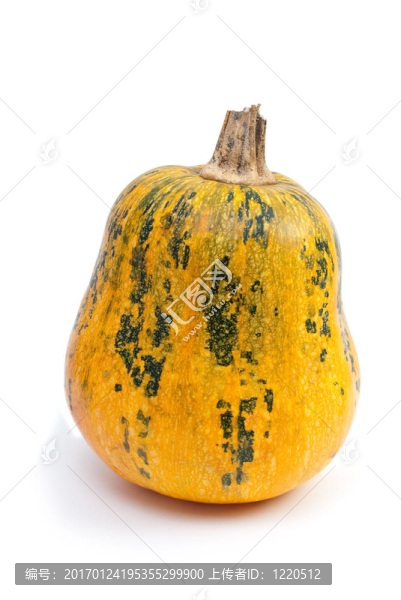南瓜