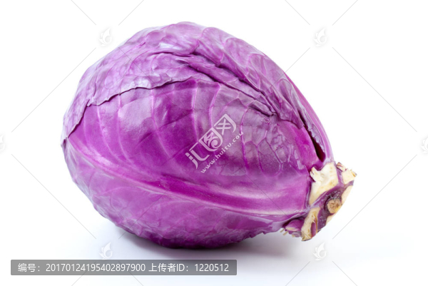 紫甘藍(lán)-匯圖網(wǎng) www.fosd68.com 紫甘藍(lán)