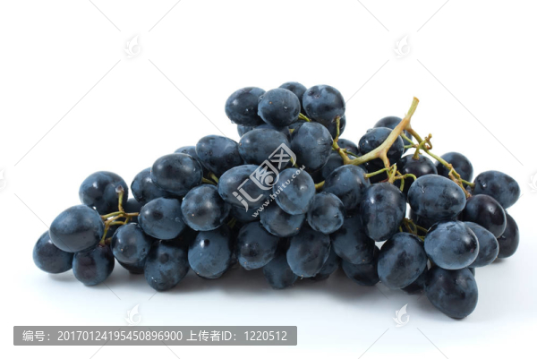 一串藍葡萄