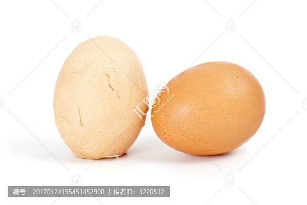 全裂卵
