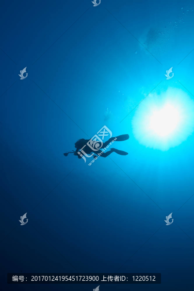 海洋；潛水員和太陽(yáng)