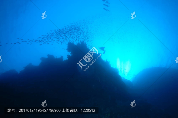 海洋；珊瑚和魚