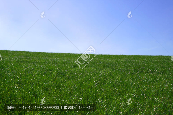 草地和天空