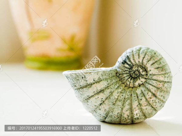 制作貝殼在浴室