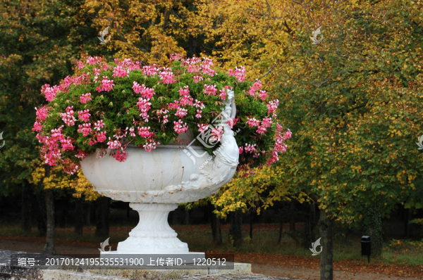 在castle,Chenonceau,Flowers公園的一個花瓶