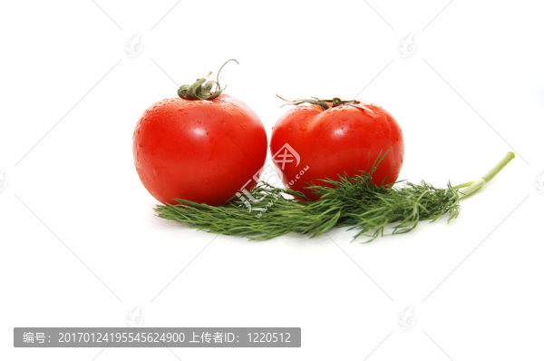 兩個(gè)西紅柿和茴香