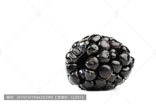 黑莓