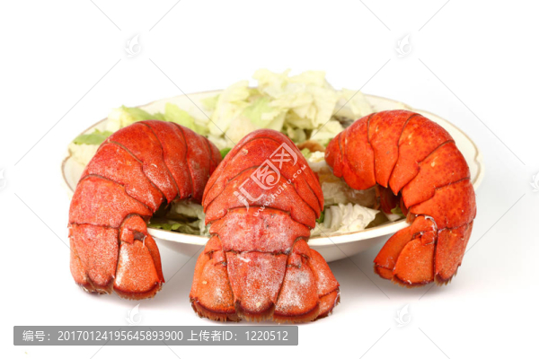 龍蝦尾