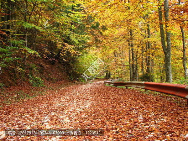 秋天的顏色-匯圖網(wǎng) www.fosd68.com 秋天的顏色