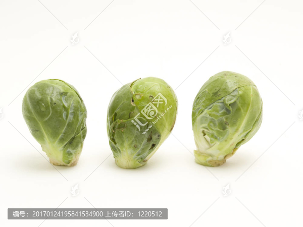 白菜布魯塞爾