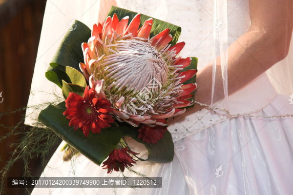 婚禮鮮花-匯圖網(wǎng) www.fosd68.com 婚禮鮮花