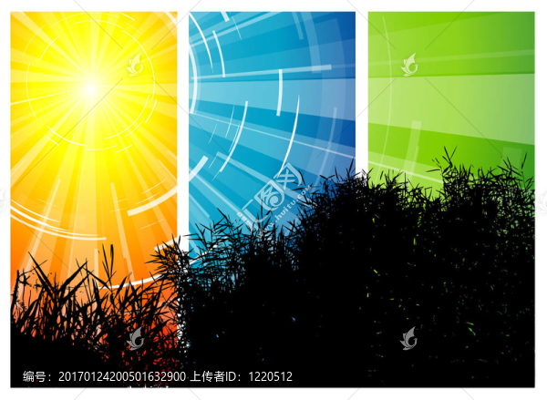 蘆葦剪影-匯圖網(wǎng) www.fosd68.com 蘆葦剪影