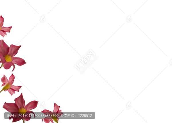 母親節(jié)粉紅花架