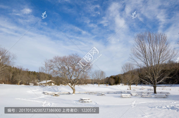 冬天-匯圖網(wǎng) www.fosd68.com 冬天