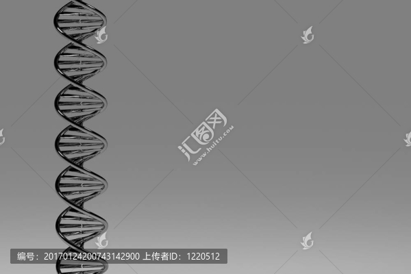 DNA-匯圖網(wǎng) www.fosd68.com DNA