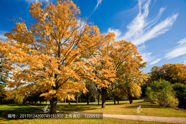 秋天的風(fēng)景