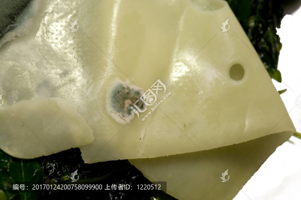 發(fā)霉的奶酪和腐爛的蔬菜