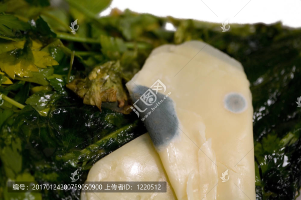 發(fā)霉的奶酪和腐爛的蔬菜