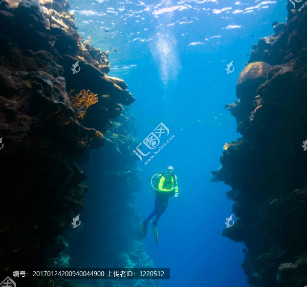 潛水員水下