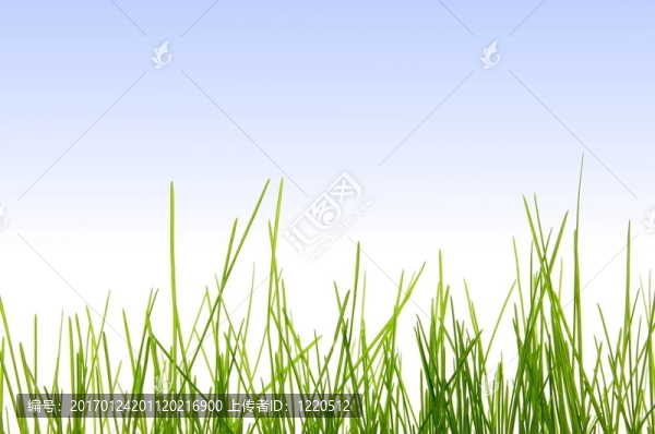 草