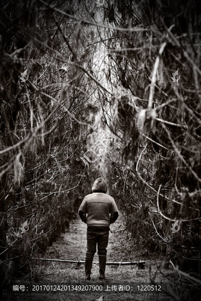 在茂密的森林小徑上的身影