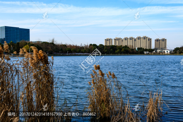 冬季日湖公園,湖泊,寧波日湖