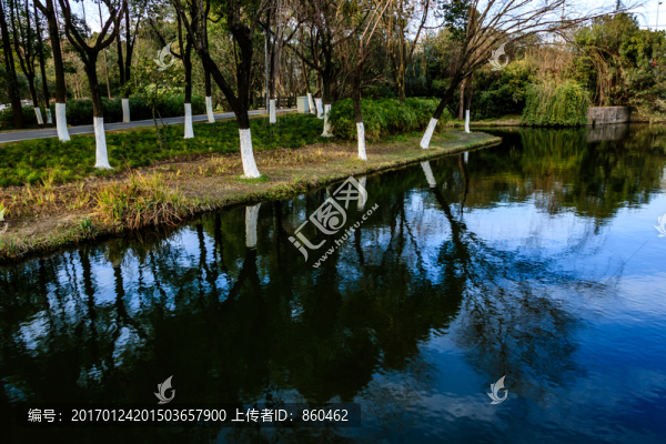 冬季日湖公園,湖泊,寧波日湖
