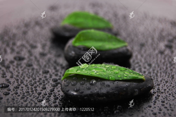 禪石養(yǎng)生觀