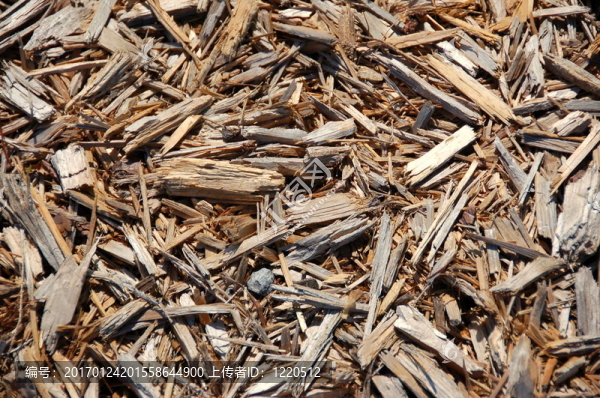 松樹皮覆蓋-匯圖網(wǎng) www.fosd68.com 松樹皮覆蓋