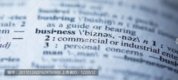 詞典中的業(yè)務(wù)定義-選擇性聚焦