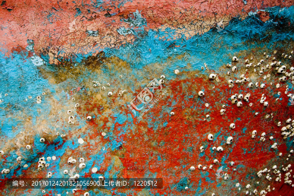 多彩的船-匯圖網(wǎng) www.fosd68.com 多彩的船