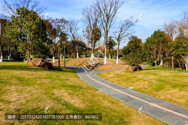 公園小道