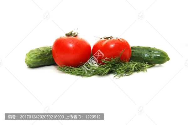 兩黃瓜與白色背景上的西紅柿和茴香
