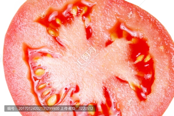 蔬菜