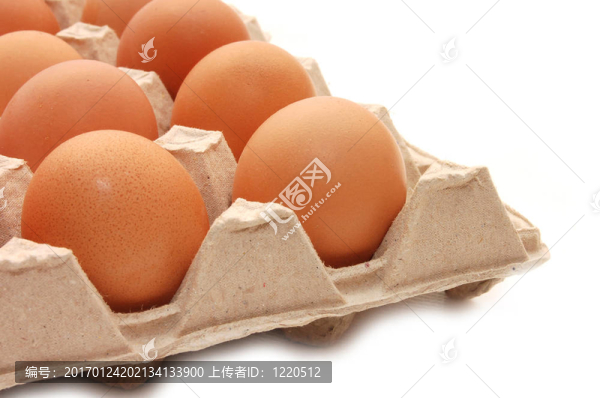 雞蛋托盤-匯圖網(wǎng) www.fosd68.com 雞蛋托盤