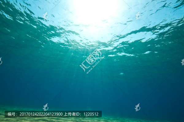 海洋和陽(yáng)光