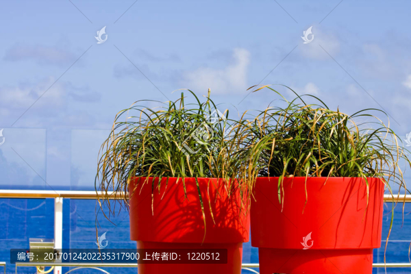 藍(lán)色的橙色的綠色