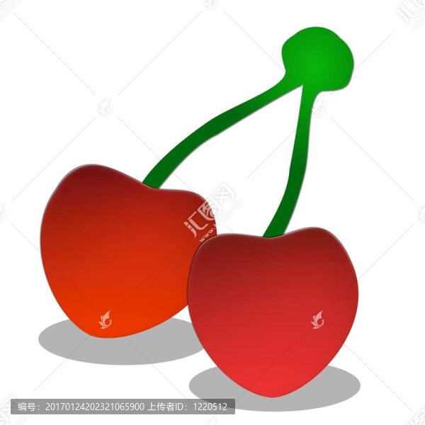 白色櫻桃插圖