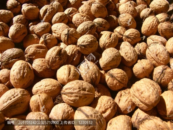 核桃的背景