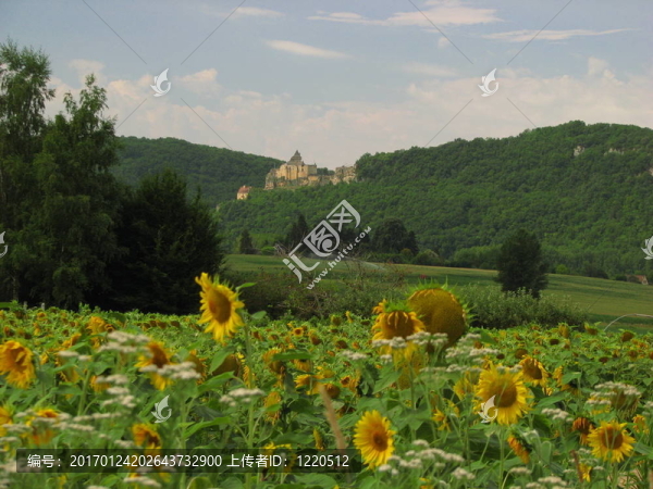 城堡castelnaud