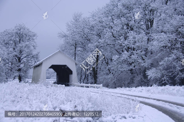 積雪覆蓋的橋梁