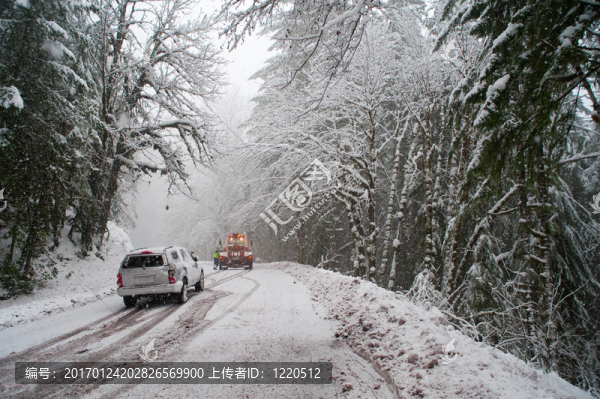 雪地里的汽車事故
