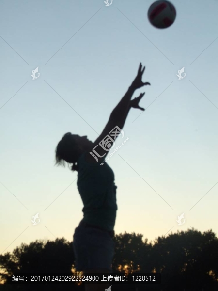 排球的剪影