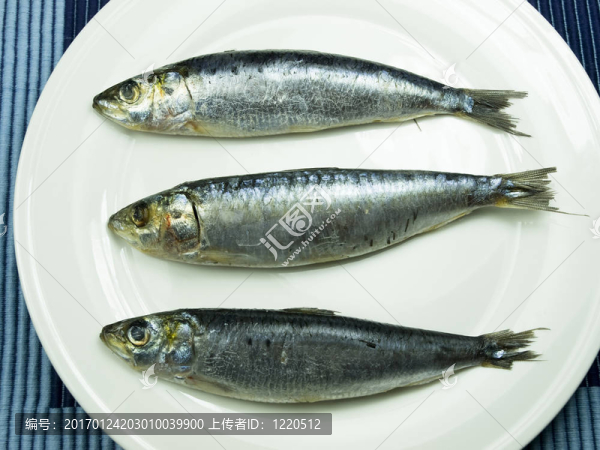 接近沙丁魚-匯圖網(wǎng) www.fosd68.com 接近沙丁魚