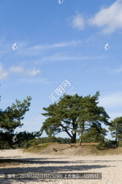 soesterduinen