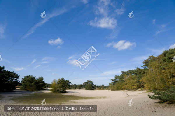 soesterduinen