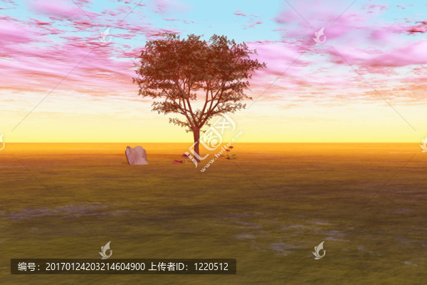 在鄉(xiāng)村的日落